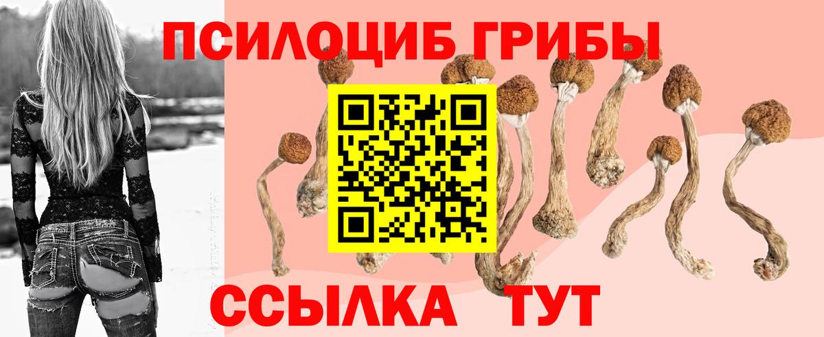 Псилоцибиновые грибы GOLDEN TEACHER Гусиноозёрск